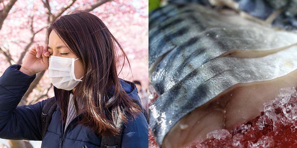 花粉症対策の食事に取り入れたいサバの力