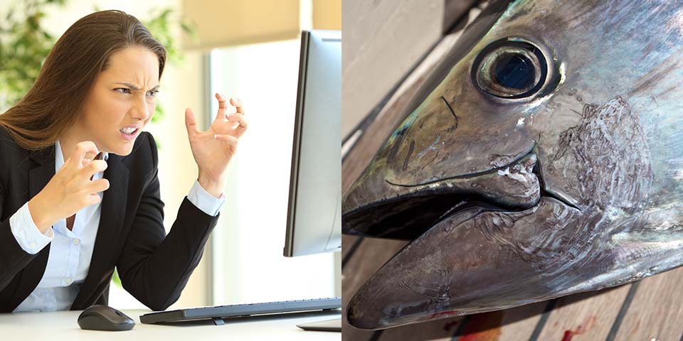 イライラするなら、マグロを食べよう！