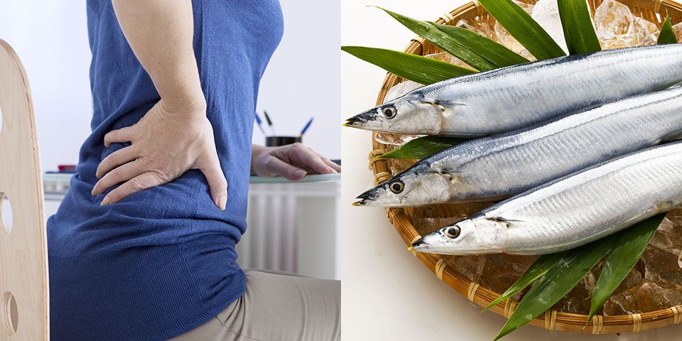 栄養がいっぱい！サンマで腰痛を防ごう